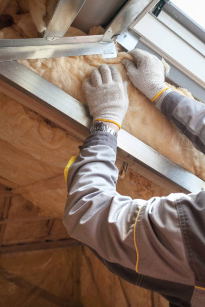 Best Commercial Insulation in Augusta, GA